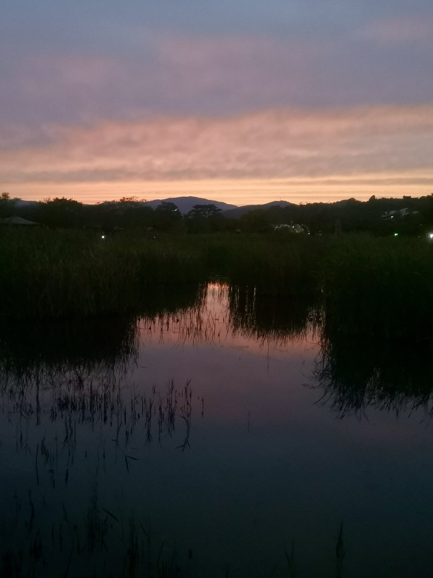 Baie de Suncheon