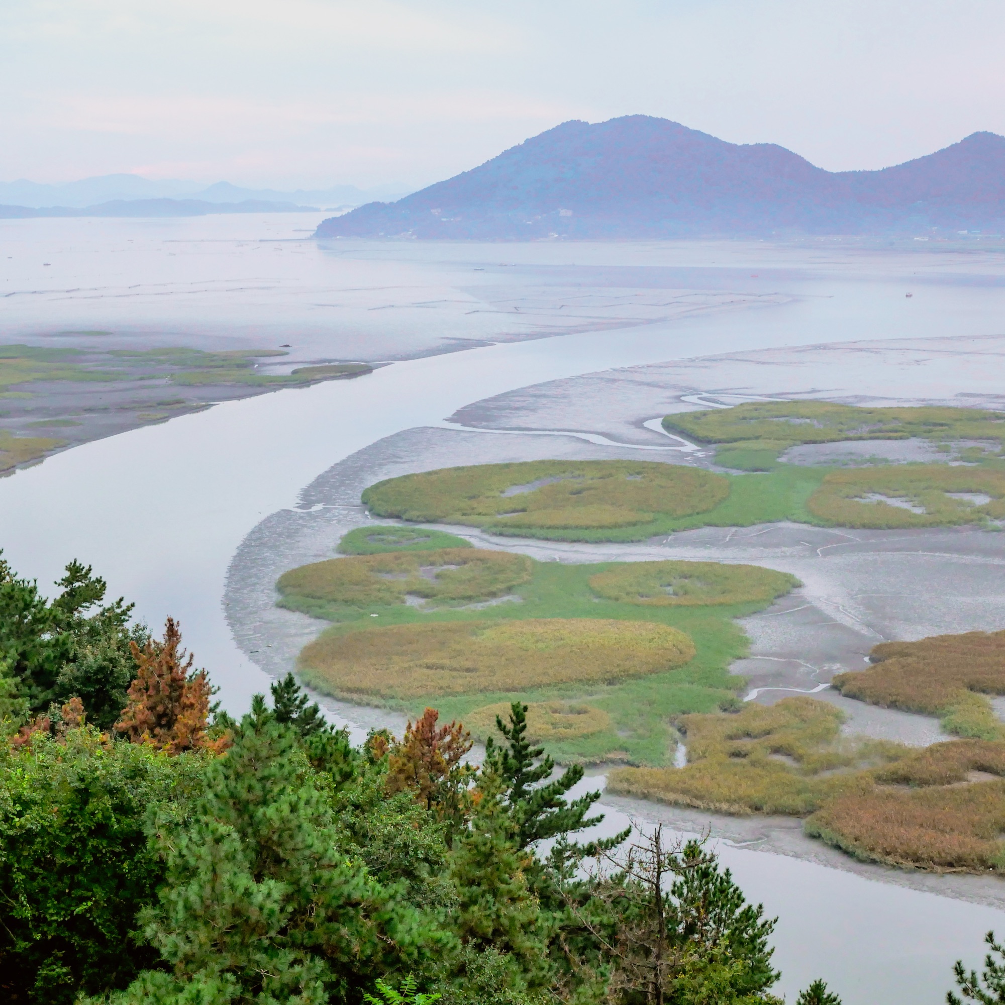 Baie de Suncheon