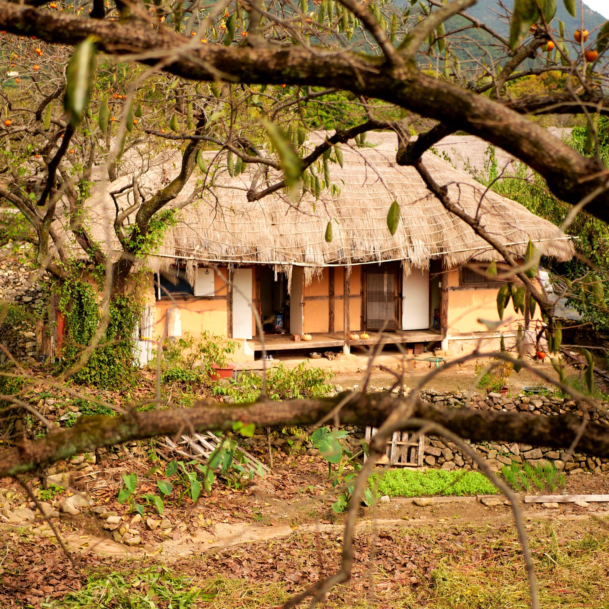 Nagan Eupseong village